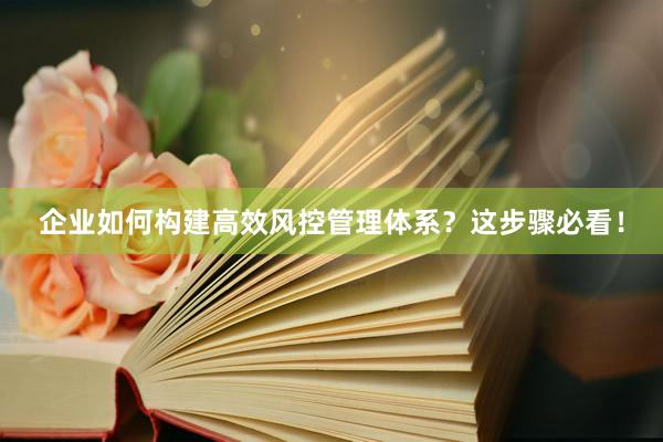 企业如何构建高效风控管理体系？这步骤必看！